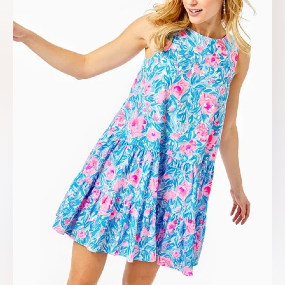 Trina Swing Dress